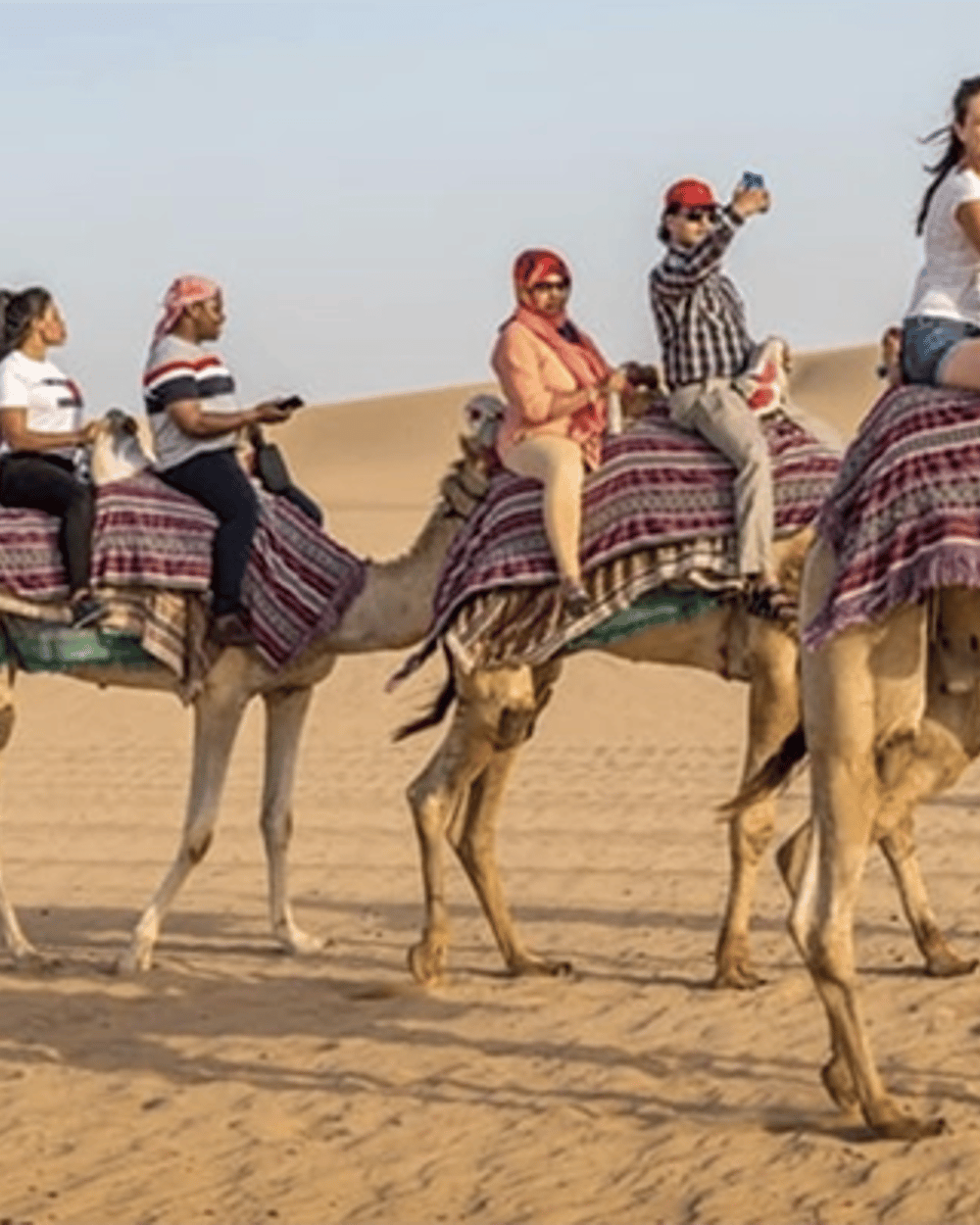 Camel ride