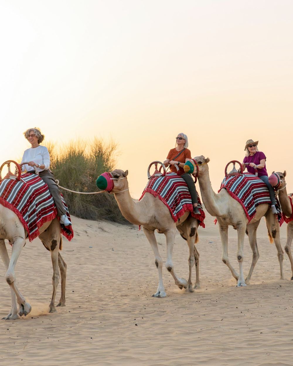 ​​Camel Caravan Ride