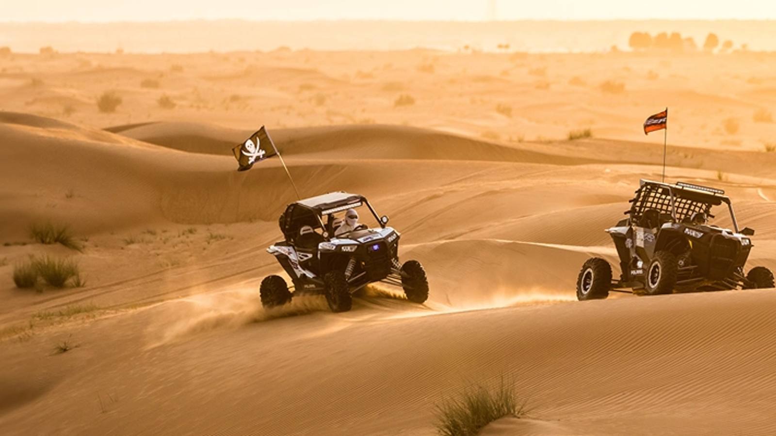 Dubai: Adventure Dune Buggy with Camel Riding & BBQ at Al Khayma