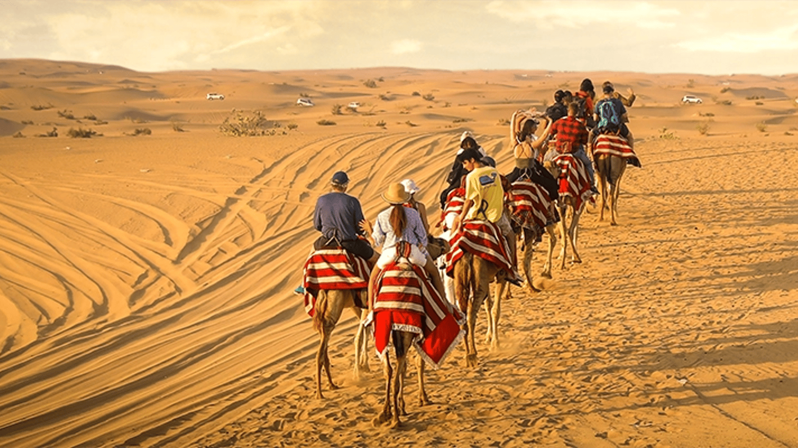 Dubai: Camel Caravan & Horse Ride with BBQ at Al Khayma Camp
