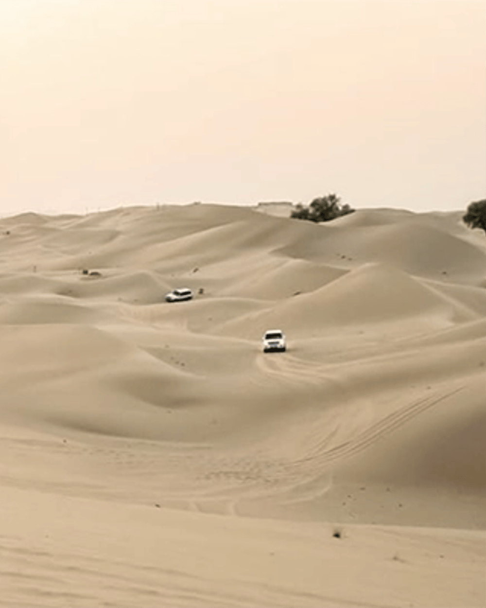 Dune bashing