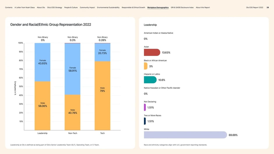 Leadership and technical roles diversity