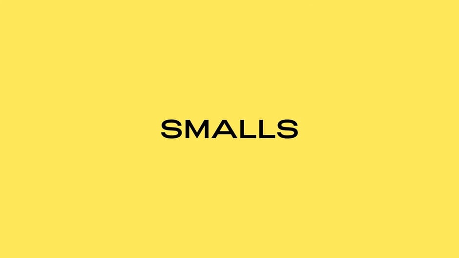 Smalls Pitch Deck 2023