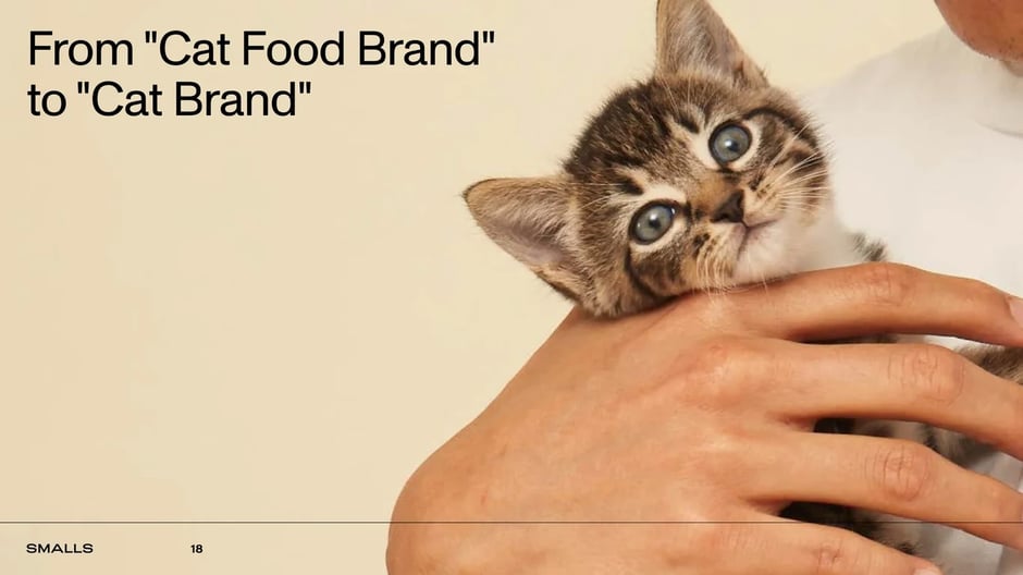 Adjacent market opportunity: accessories, treats, services