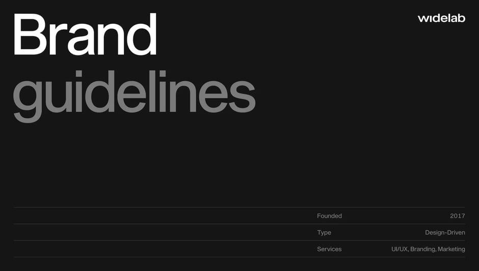 Widelabs Brand Guidelines 2017