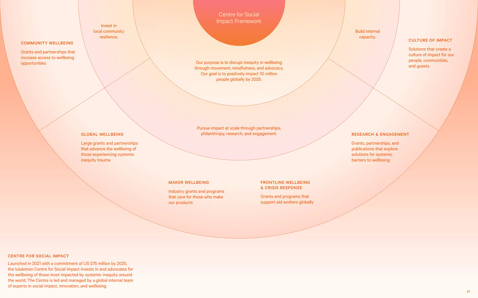 Centre for Social Impact framework and pillars