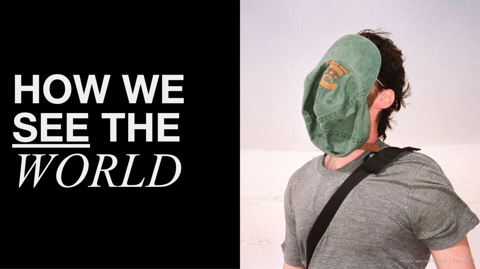 How We See the World