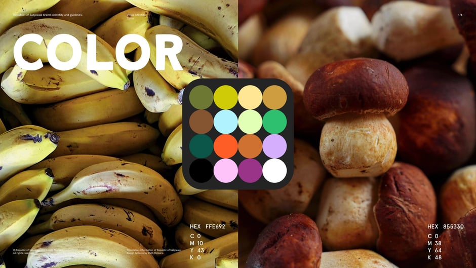 Photography-driven color palette with swatches