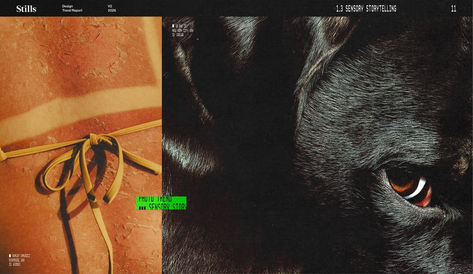 Texture-driven close-ups and tactile pairings
