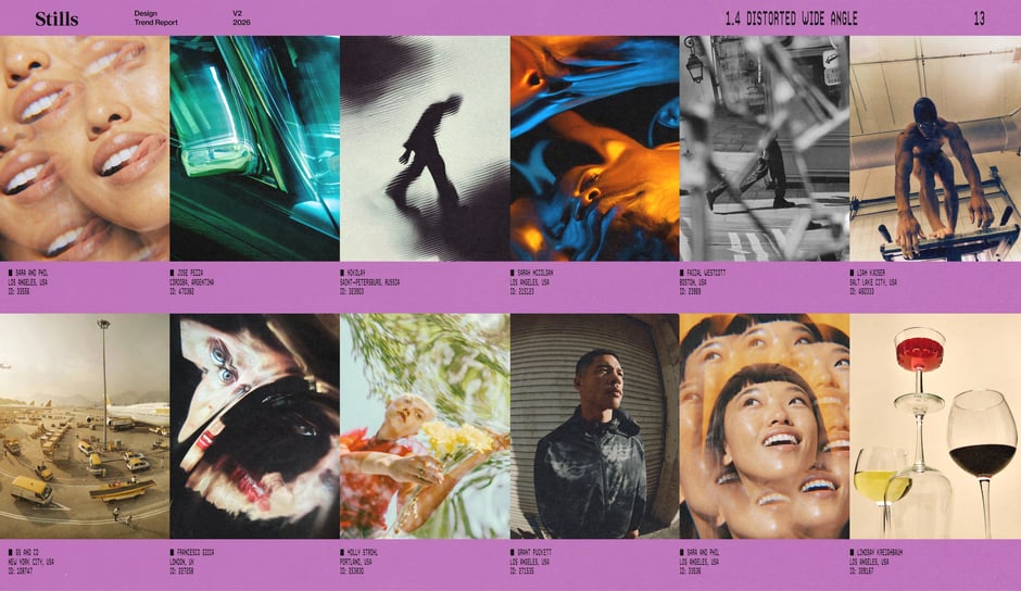 Distorted wide-angle image examples grid