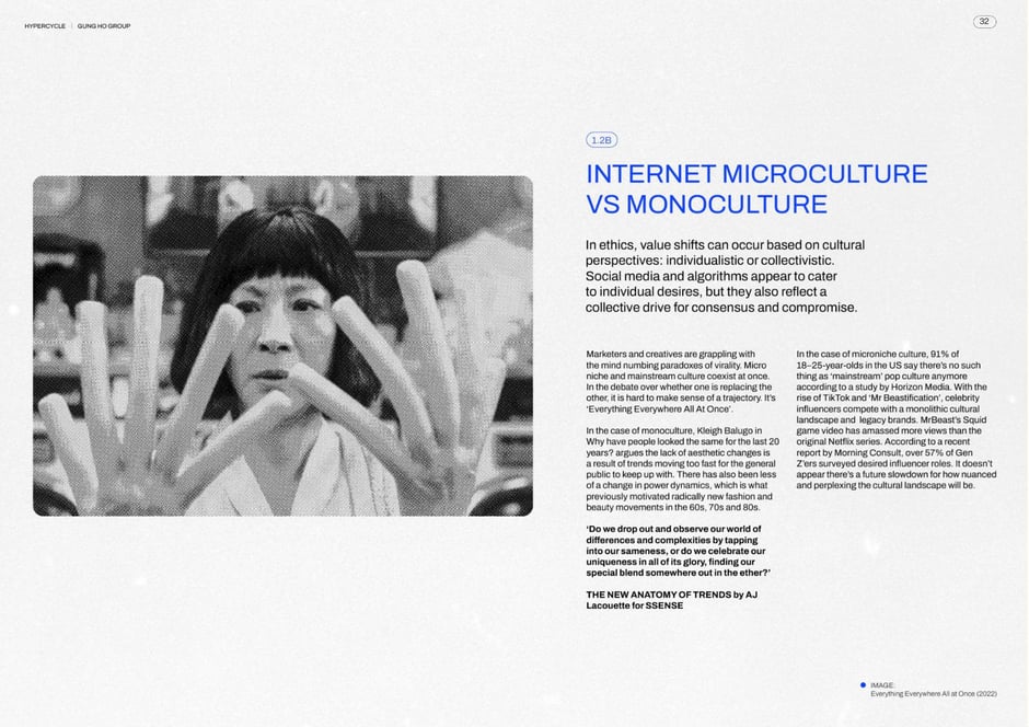 Internet microculture vs monoculture
