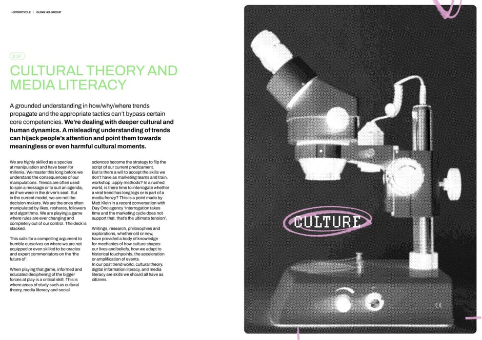 Cultural theory and media literacy