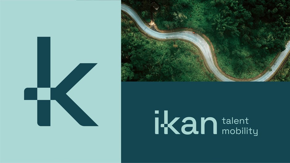 Primary logotype paired with the custom logomark