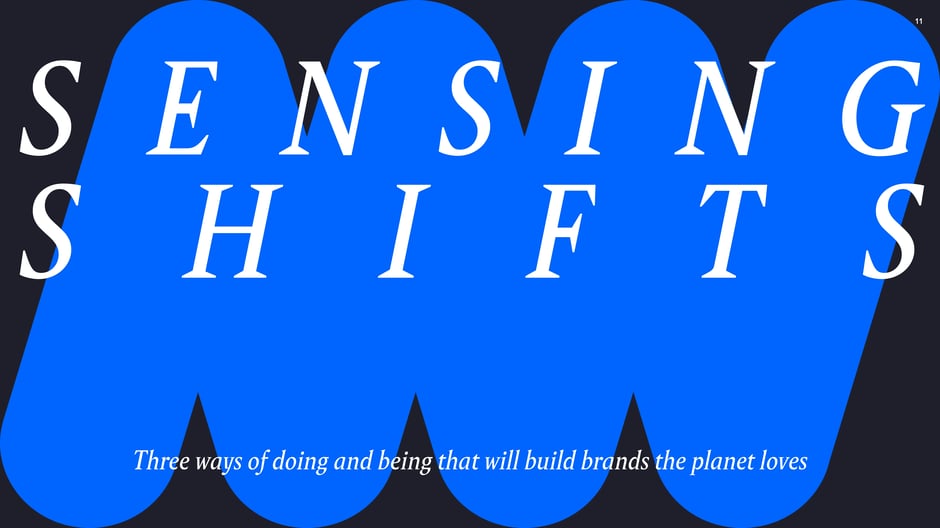 Sensing Shifts: three ways brands build planet-friendly hospitality