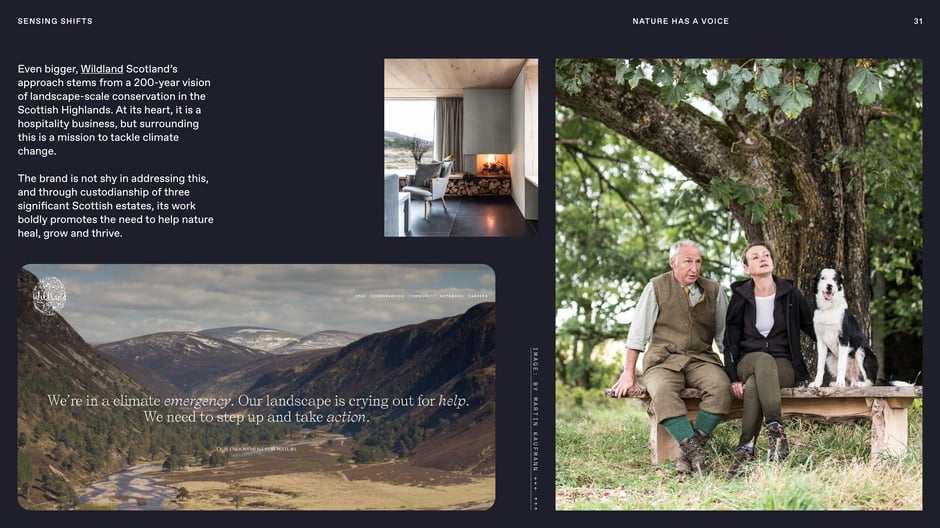 Landscape-scale conservation in the Scottish Highlands