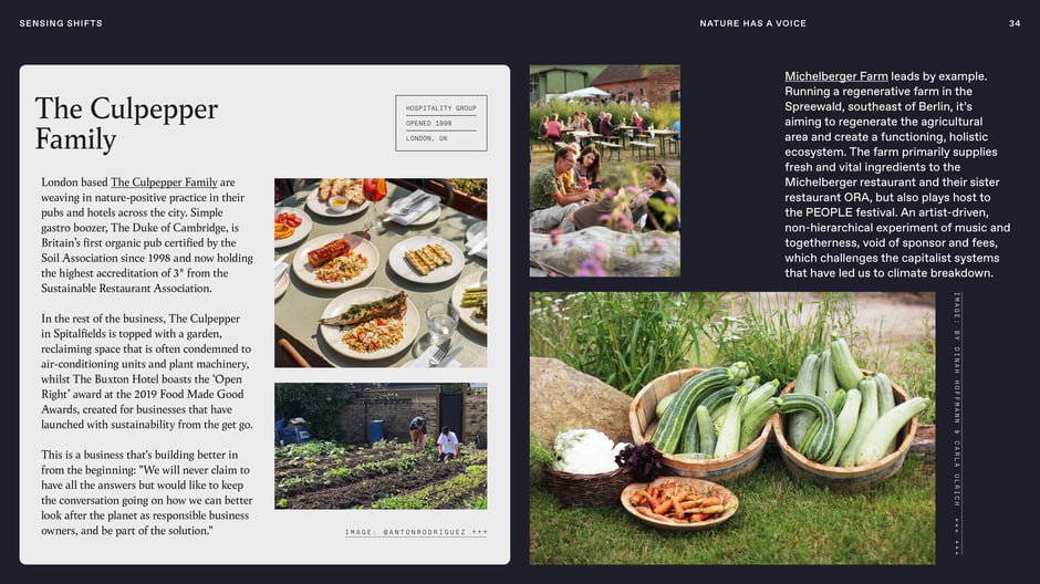 Slow travel group: sensory brand storytelling