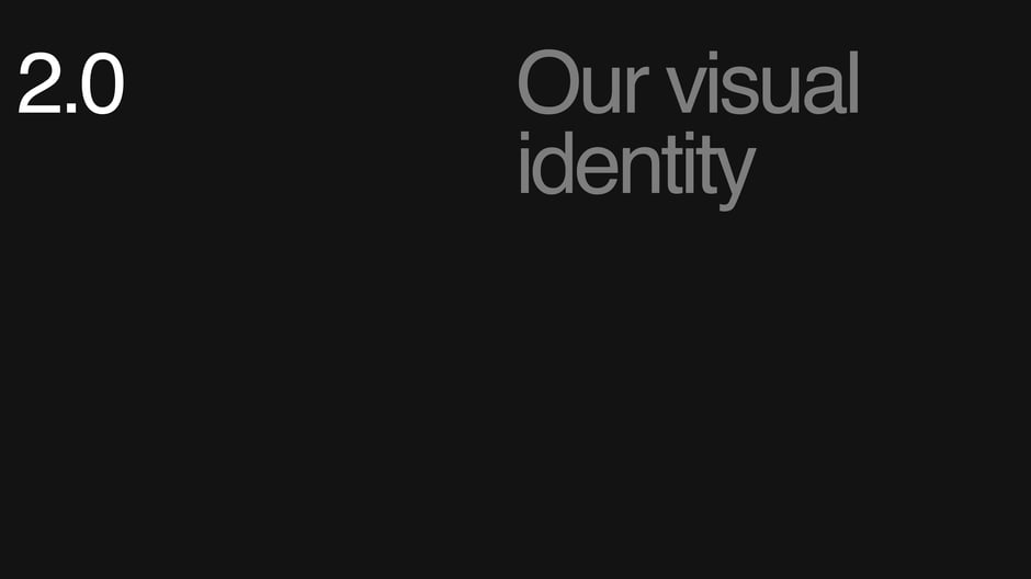Section header introducing the visual identity guidelines that follow, including