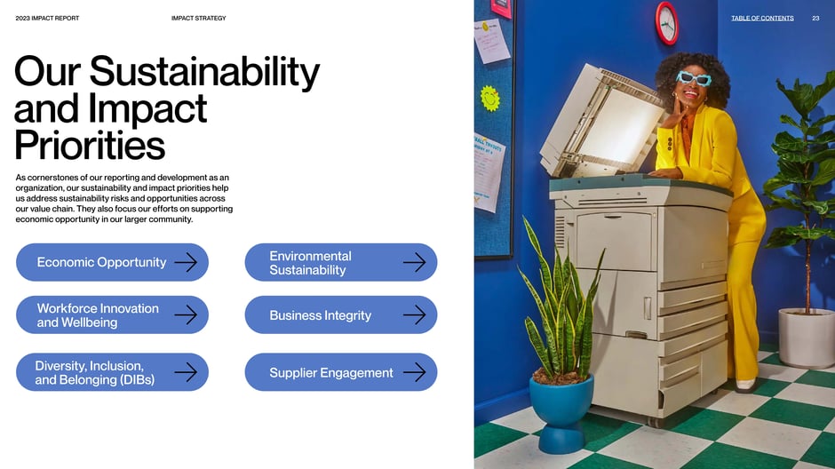 Our Sustainability and Impact Priorities