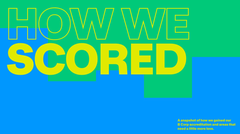 Introductory header for the assessment section that previews a category-by-category