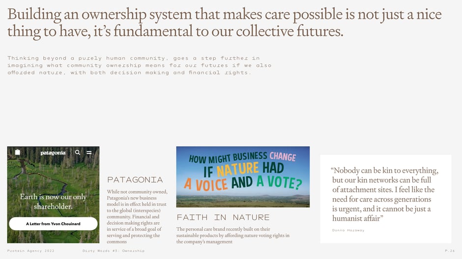 Ownership systems must enable care for collective futures