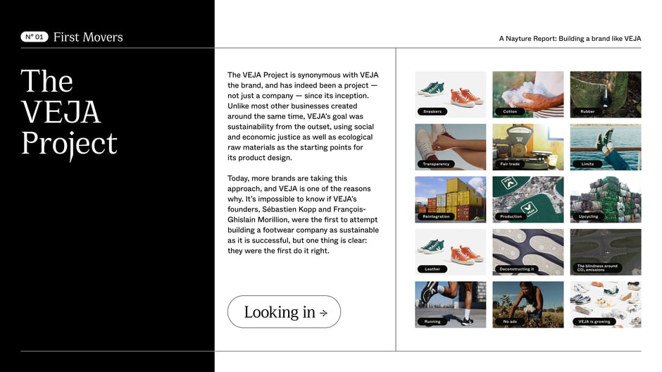 Overview of the VEJA Project