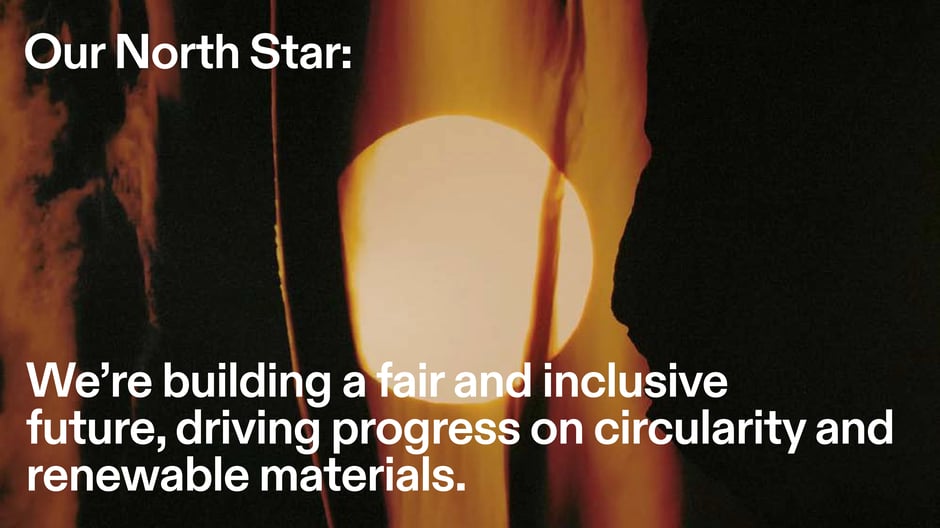 Our North Star: building a fair and inclusive future