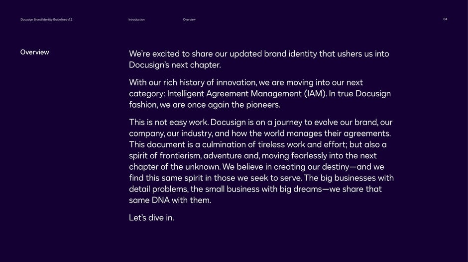 Docusign Brand Identity Guidelines 2024 — slide preview 4