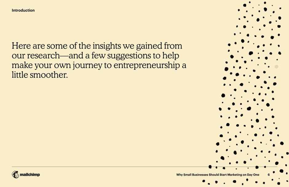 Insights and Suggestions for Entrepreneurs