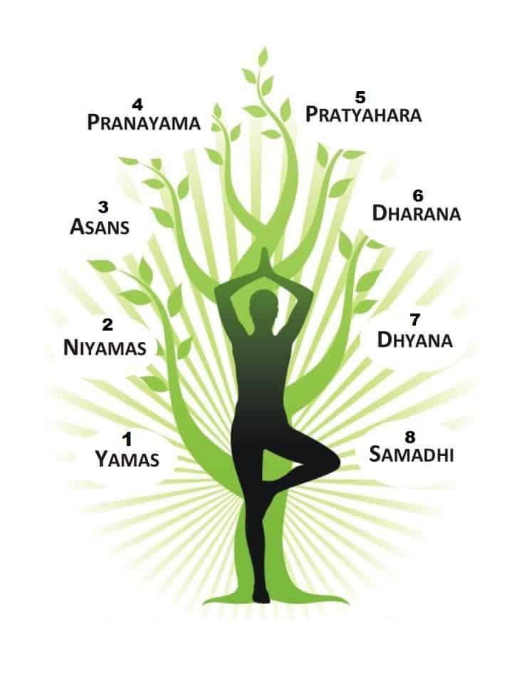 the eight limbs of yoga