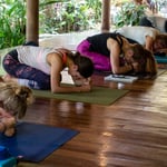 yoga students resting position