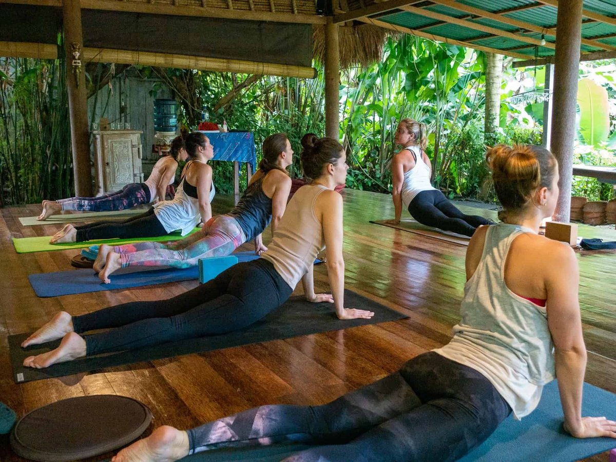 upward facing dog class