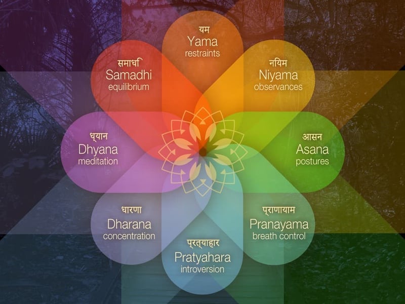 the eight limbs of yoga