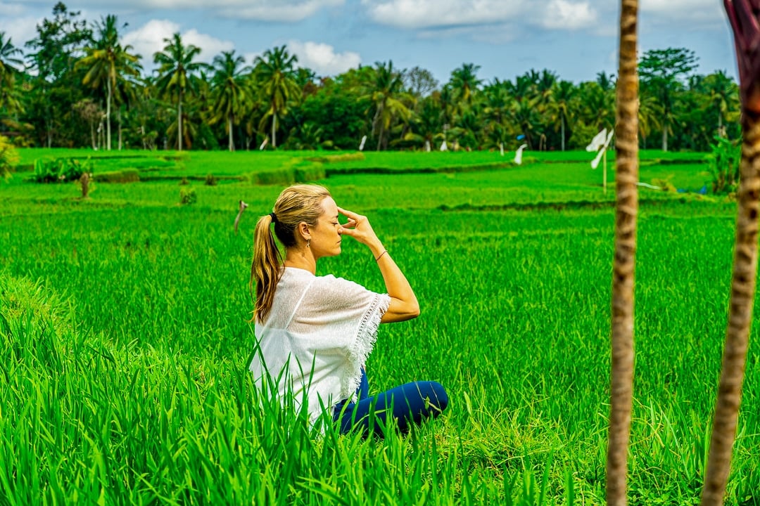 Online Breathwork Teacher Training Online Breathwork Teacher Training Background