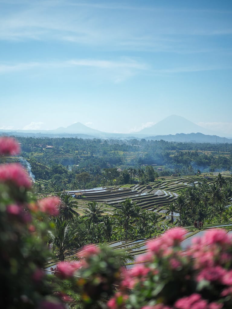 View over rice terraces towards the volcanoes near Loka Yoga School, Tabanan, Bali