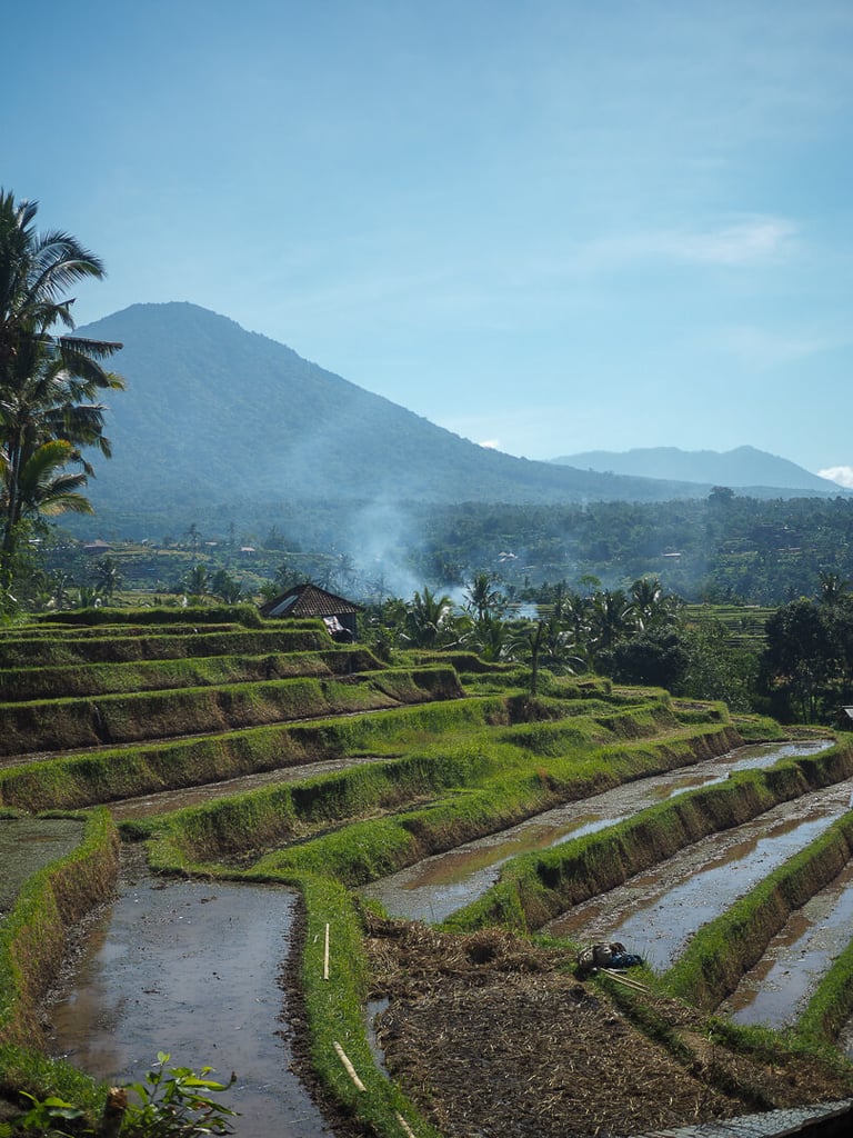 Terraced rice fields and mountain view near Kedungu, Tabanan, Bali