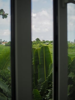 P7291223-2