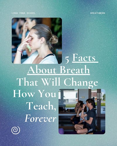 WhatsApp Image 2026-05-19 at 09.46.40