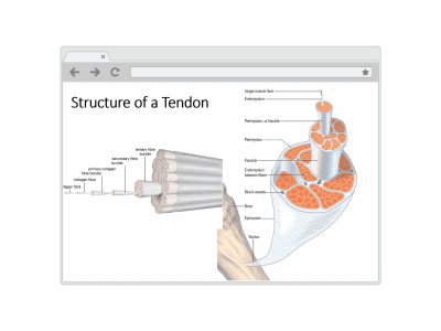 structure diagram