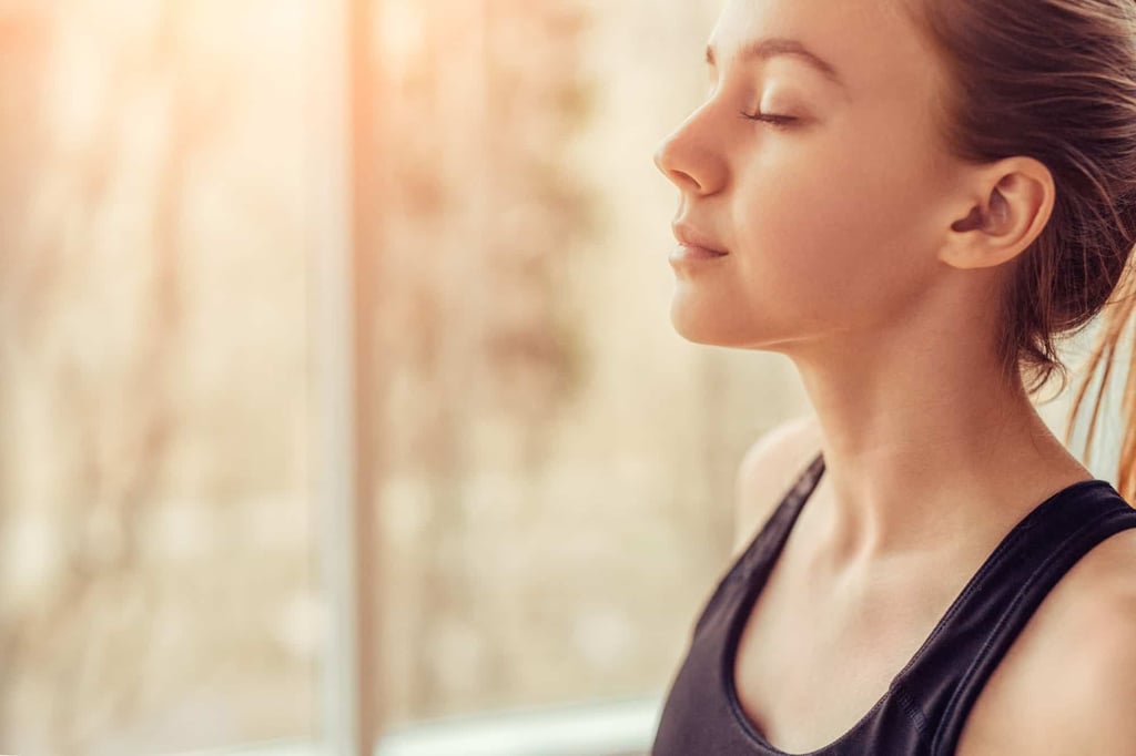 What is the difference between pranayama and breathwork?