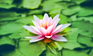 What are the benefits of meditation?