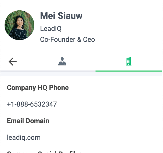 e-mail und telefonnummer in der leadiq erweiterung finden