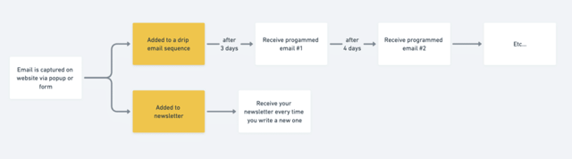 email marketing lead generation automation