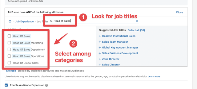 sugerencias de cargos linkedin ads