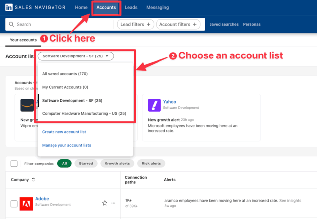 Sales Navigator Accounts page