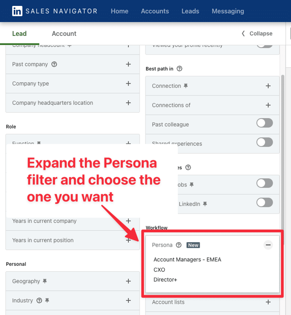 Personas filter In Lead Searches