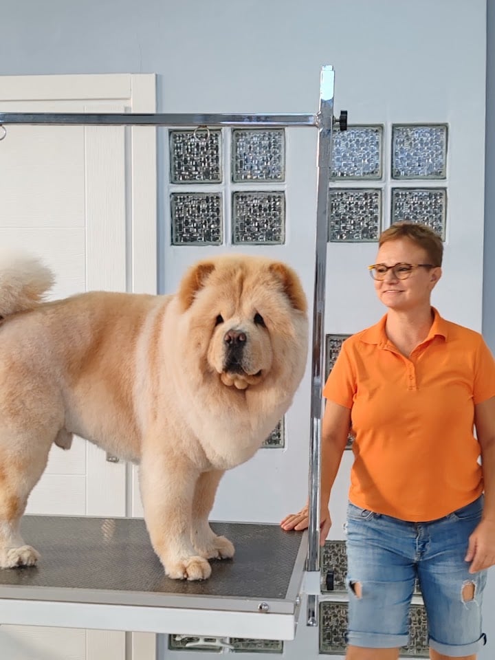 Köpek Ablası