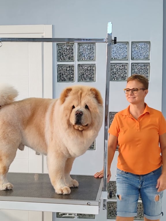 Köpek Ablası