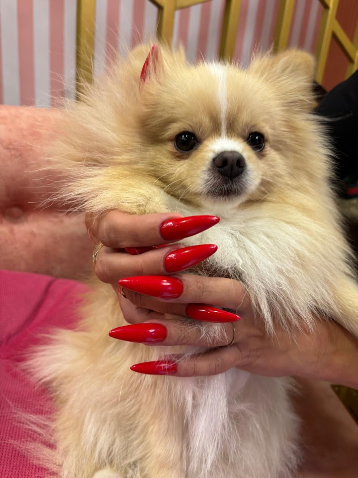 LA SHINE BEAUTY SALOON