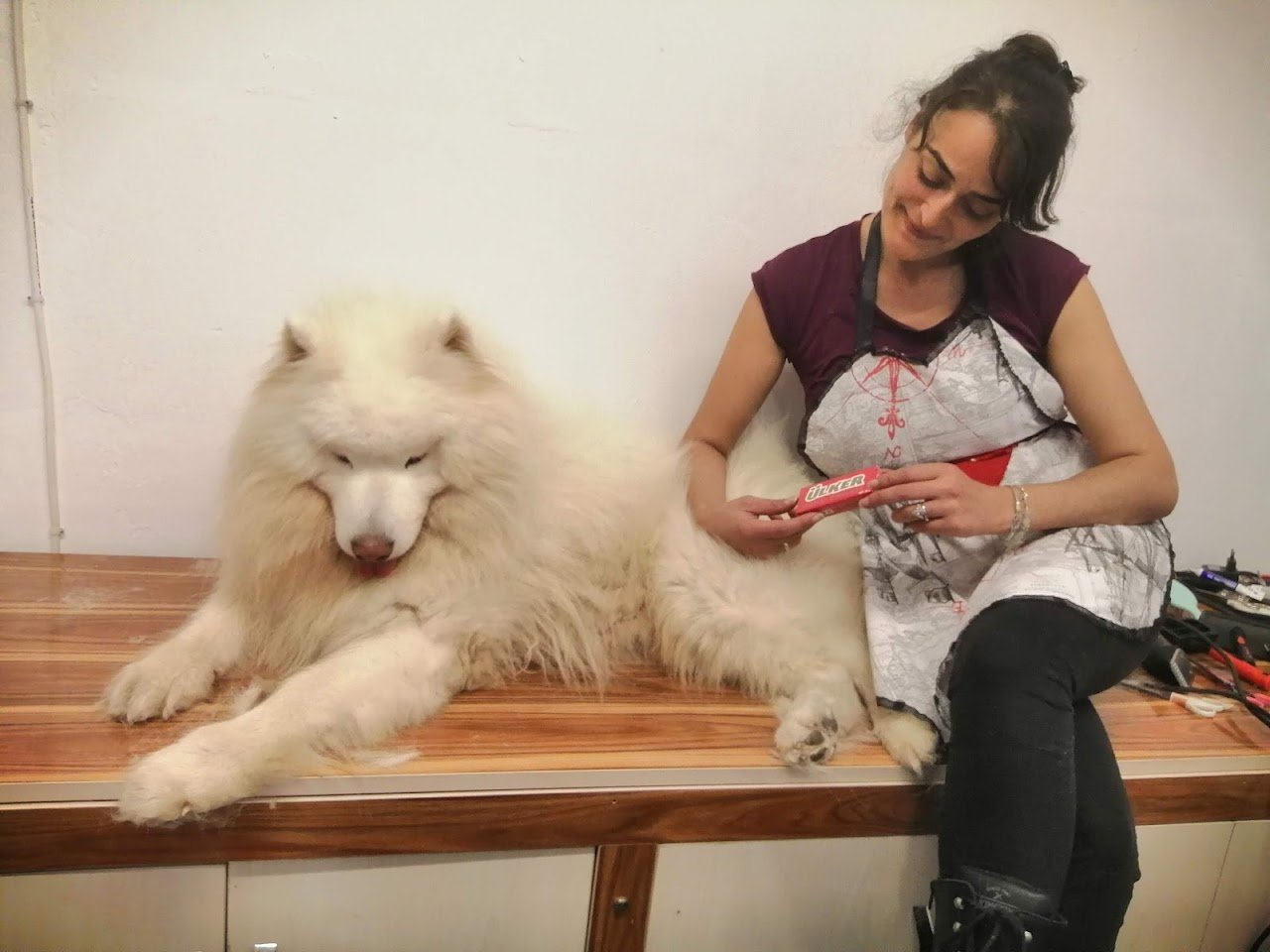 KIRPIK PET KUAFÖR & PET SHOP