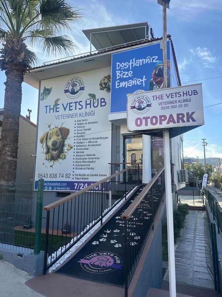 The Vets Hub İzmir Veteriner Polikliniği